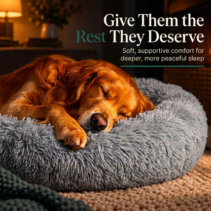 Calming Orthopedic Dog Bed